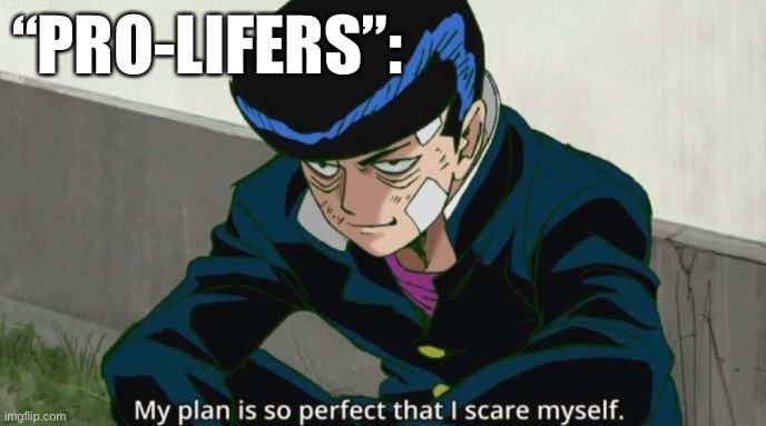 Mob Psycho 100 My plan is so perfect that I scare myself | “PRO-LIFERS”: | image tagged in mob psycho 100 my plan is so perfect that i scare myself | made w/ Imgflip meme maker