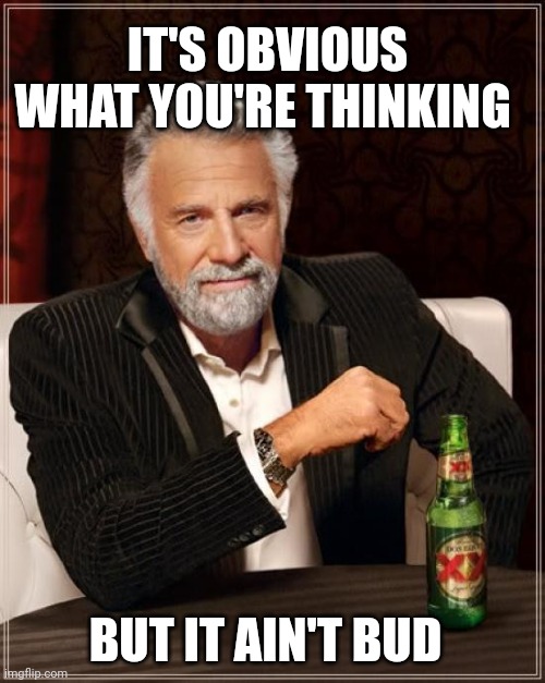 But no Bud | IT'S OBVIOUS WHAT YOU'RE THINKING; BUT IT AIN'T BUD | image tagged in memes,the most interesting man in the world | made w/ Imgflip meme maker