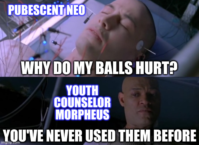 Matrix eyes hurt | PUBESCENT NEO; WHY DO MY BALLS HURT? YOUTH COUNSELOR MORPHEUS; YOU'VE NEVER USED THEM BEFORE | image tagged in matrix eyes hurt | made w/ Imgflip meme maker