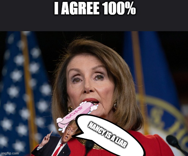 Nancy Is A HUGH LIAR Imgflip