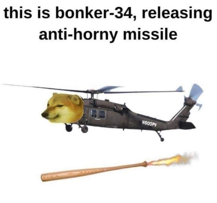 This is bonker-34 releasing anti-horny missile Blank Meme Template