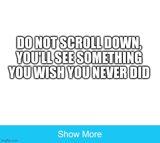 Do not click show more | DO NOT SCROLL DOWN, YOU'LL SEE SOMETHING YOU WISH YOU NEVER DID | image tagged in show more | made w/ Imgflip meme maker