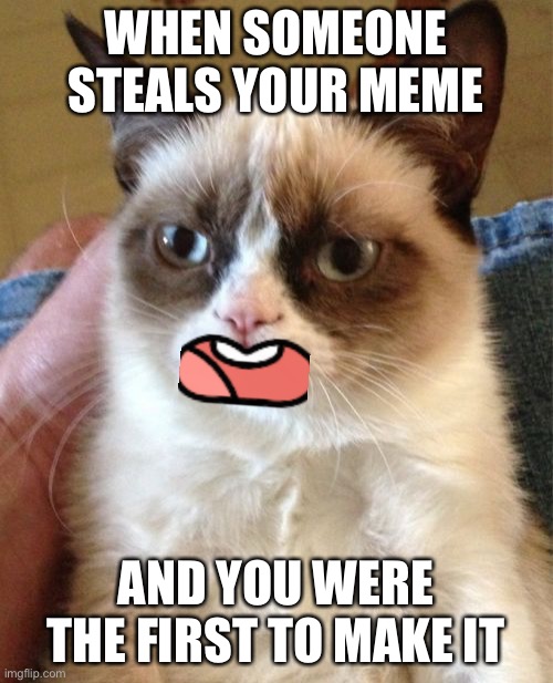 True :) [sammy note: true] | WHEN SOMEONE STEALS YOUR MEME; AND YOU WERE THE FIRST TO MAKE IT | image tagged in memes,grumpy cat | made w/ Imgflip meme maker