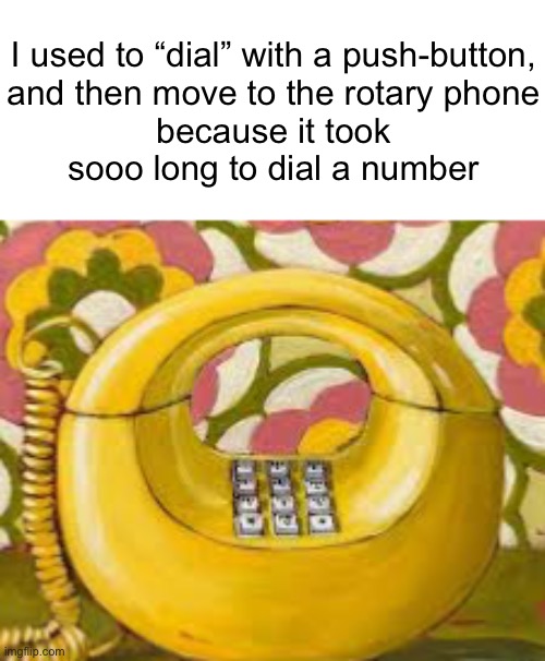 I used to “dial” with a push-button,
and then move to the rotary phone
because it took
sooo long to dial a number | made w/ Imgflip meme maker