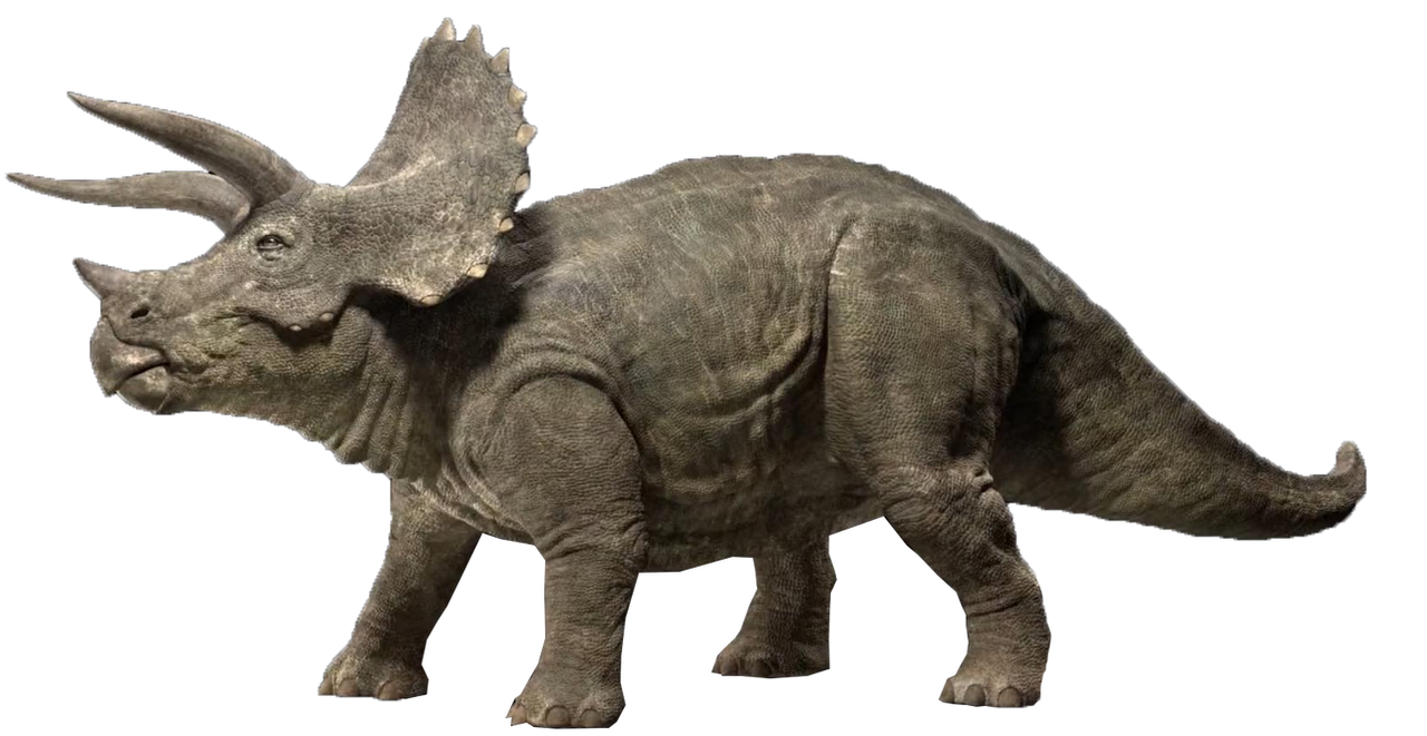 Triceratops 2 Blank Meme Template