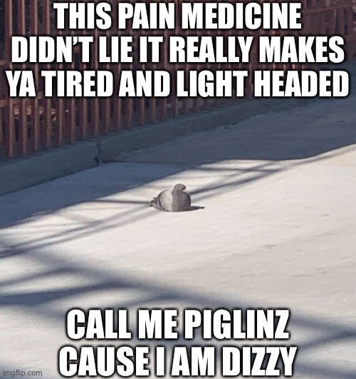 Wow I’m so funny omg jesus I am about to stand up and break my skull by standing up | THIS PAIN MEDICINE DIDN’T LIE IT REALLY MAKES YA TIRED AND LIGHT HEADED; CALL ME PIGLINZ CAUSE I AM DIZZY | made w/ Imgflip meme maker