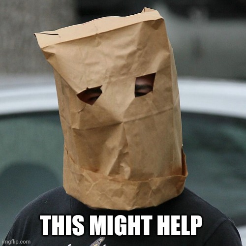 Bag on head | THIS MIGHT HELP | image tagged in bag on head | made w/ Imgflip meme maker