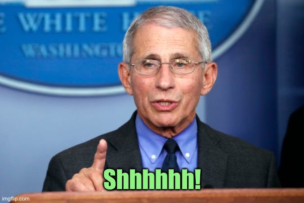 Dr. Fauci | Shhhhhh! | image tagged in dr fauci | made w/ Imgflip meme maker