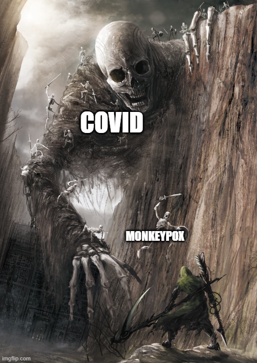 Scary giant vs small guy | COVID; MONKEYPOX | image tagged in scary giant vs small guy | made w/ Imgflip meme maker