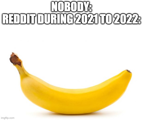 Banana | NOBODY:
REDDIT DURING 2021 TO 2022: | image tagged in banana | made w/ Imgflip meme maker