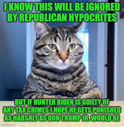 Upvote if you agree | I KNOW THIS WILL BE IGNORED
BY REPUBLICAN HYPOCRITES; BUT IF HUNTER BIDEN IS GUILTY OF ANY TAX CRIMES I HOPE HE GETS PUNISHED AS HARSHLY AS DON TRUMP JR. WOULD BE | image tagged in serious cat,not kidding,hunter biden,donald trump jr | made w/ Imgflip meme maker