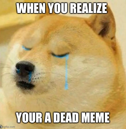 sad doge | WHEN YOU REALIZE; YOUR A DEAD MEME | image tagged in sad doge,memes | made w/ Imgflip meme maker