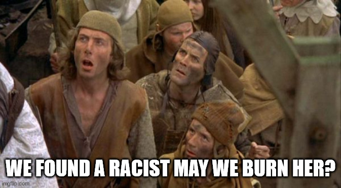 May We Burn Her? | WE FOUND A RACIST MAY WE BURN HER? | image tagged in may we burn her | made w/ Imgflip meme maker