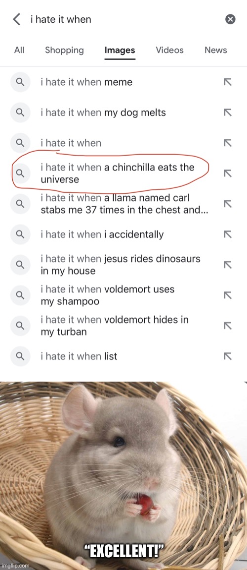 I Hate It When |  “EXCELLENT!” | image tagged in i hate it when,google search,chinchilla,eats the universe,excellent | made w/ Imgflip meme maker