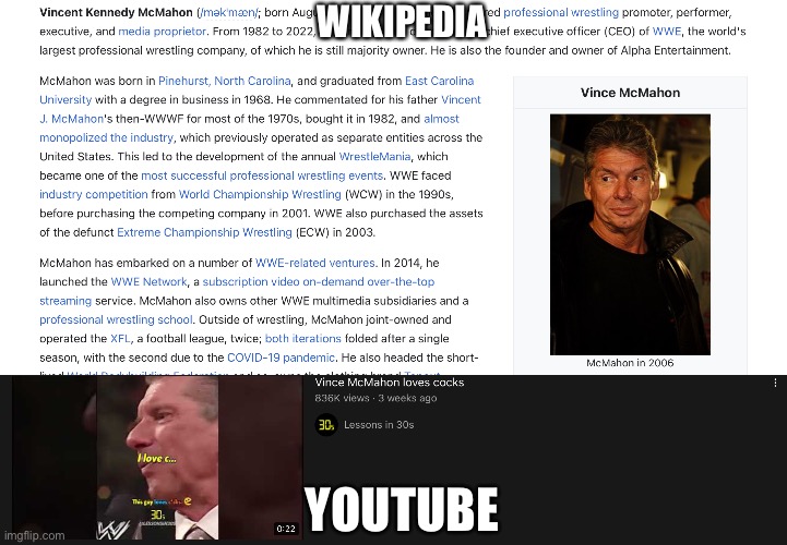Wikipedia vs YouTube | WIKIPEDIA; YOUTUBE | image tagged in vince mcmahon | made w/ Imgflip meme maker