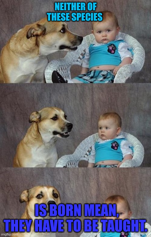 Baby and dog | NEITHER OF THESE SPECIES; IS BORN MEAN, THEY HAVE TO BE TAUGHT. | image tagged in baby and dog | made w/ Imgflip meme maker