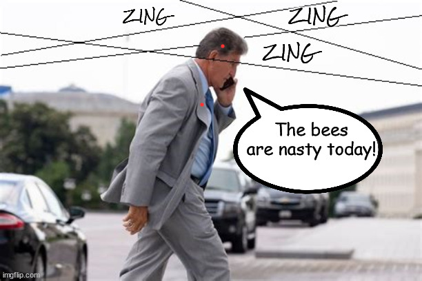 Persuasion.... | ZING; ZING; ZING; The bees are nasty today! | image tagged in manchin,zing,dino,bullets,laser | made w/ Imgflip meme maker