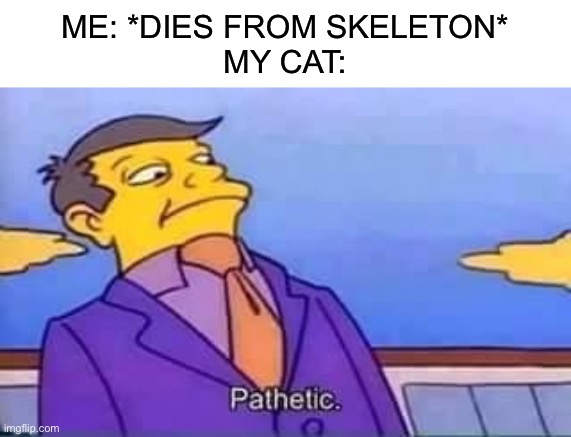 skinner pathetic | ME: *DIES FROM SKELETON*
MY CAT: | image tagged in skinner pathetic | made w/ Imgflip meme maker