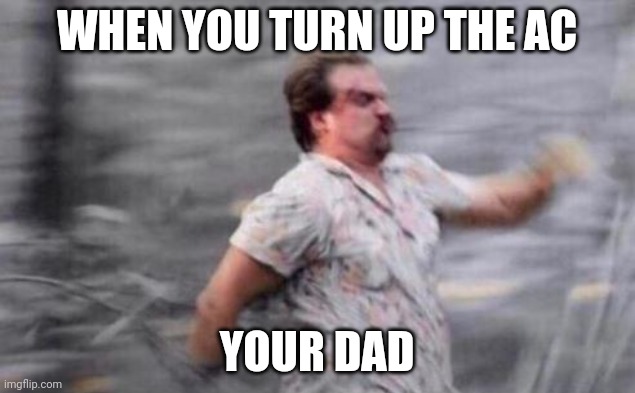 Hopper Run | WHEN YOU TURN UP THE AC; YOUR DAD | image tagged in hopper run | made w/ Imgflip meme maker