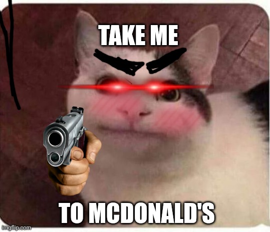 Take me- | TAKE ME; TO MCDONALD'S | image tagged in polite cat | made w/ Imgflip meme maker