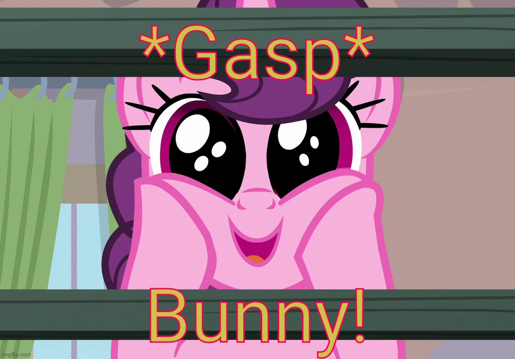 Surprised Sugar Belle (MLP) | *Gasp* Bunny! | image tagged in surprised sugar belle mlp | made w/ Imgflip meme maker