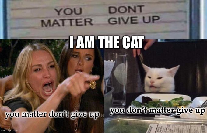 pessimism rules | I AM THE CAT; you don’t matter give up; you matter don’t give up | image tagged in memes,woman yelling at cat | made w/ Imgflip meme maker