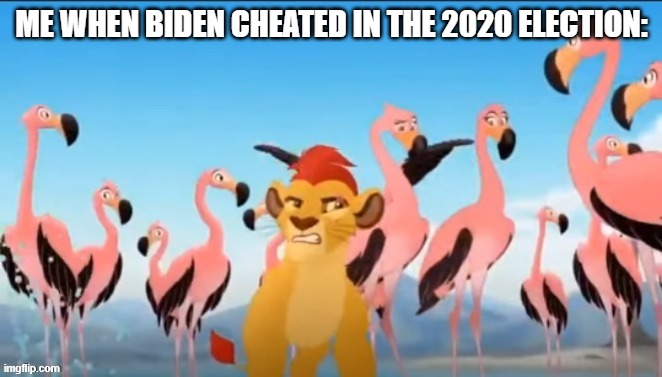 Garbage | ME WHEN BIDEN CHEATED IN THE 2020 ELECTION: | image tagged in not garbage,elections,trump won,biden,minecraft is good,stop watching the news | made w/ Imgflip meme maker