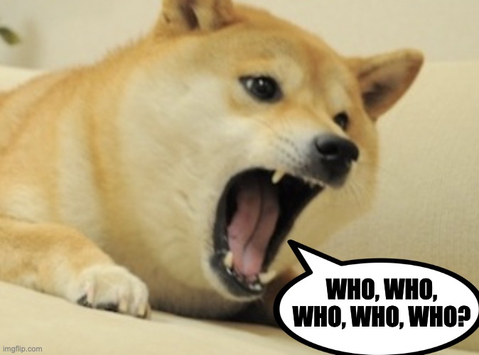 Doge bark | WHO, WHO, WHO, WHO, WHO? | image tagged in doge bark | made w/ Imgflip meme maker