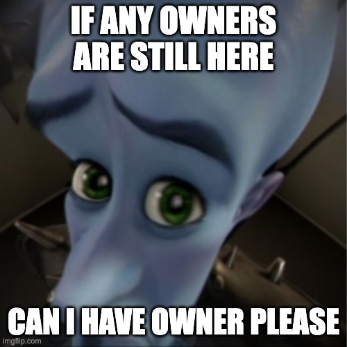 Megamind peeking |  IF ANY OWNERS ARE STILL HERE; CAN I HAVE OWNER PLEASE | image tagged in megamind peeking | made w/ Imgflip meme maker