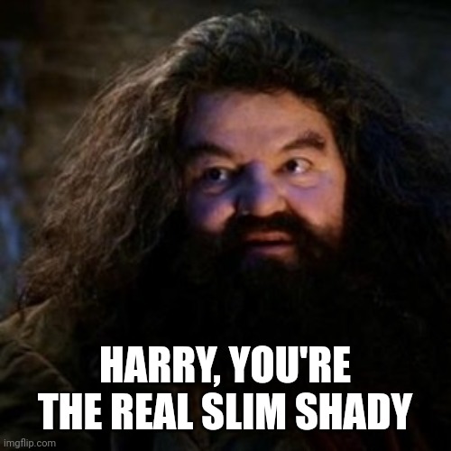Pleasestandupicus! | HARRY, YOU'RE THE REAL SLIM SHADY | image tagged in you're a wizard harry,slim shady | made w/ Imgflip meme maker