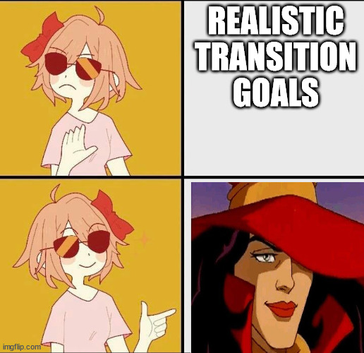 Realistic goals are for losers | REALISTIC TRANSITION GOALS | image tagged in trans mtf drake meme | made w/ Imgflip meme maker