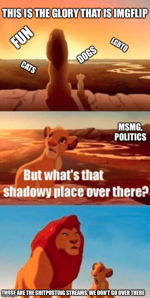 Hey what streams do yall follow | THIS IS THE GLORY THAT IS IMGFLIP; FUN; LGBTQ; DOGS; CATS; MSMG, POLITICS; THOSE ARE THE SHITPOSTING STREAMS, WE DON’T GO OVER THERE | image tagged in memes,simba shadowy place | made w/ Imgflip meme maker