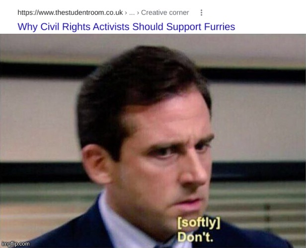 image tagged in michael scott don't softly | made w/ Imgflip meme maker