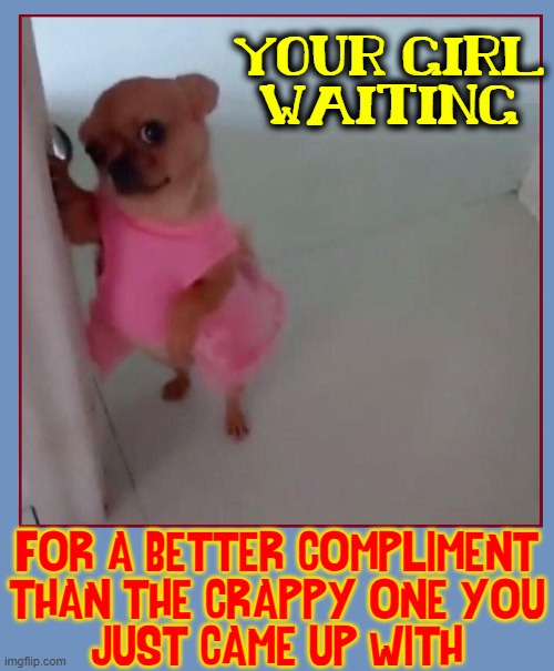There are 2 ways to handle a woman; I don't know either one |  YOUR GIRL
WAITING; FOR A BETTER COMPLIMENT
THAN THE CRAPPY ONE YOU
JUST CAME UP WITH | image tagged in vince vance,memes,dogs,women,compliments,pink dress | made w/ Imgflip meme maker