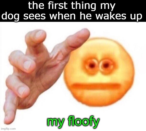 cursed emoji hand grabbing | the first thing my dog sees when he wakes up; my floofy | image tagged in cursed emoji hand grabbing | made w/ Imgflip meme maker
