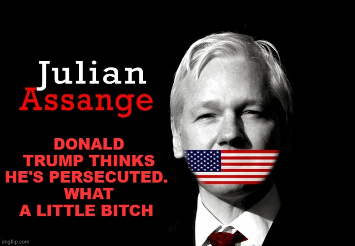 Julian Assange 2016 | DONALD TRUMP THINKS HE'S PERSECUTED. 
WHAT A LITTLE BITCH | image tagged in julian assange 2016,donald trump,special snowflake | made w/ Imgflip meme maker