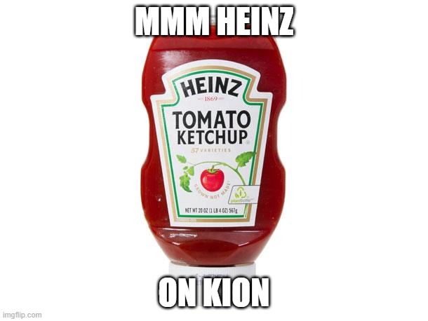 Ketchup | MMM HEINZ; ON KION | image tagged in ketchup | made w/ Imgflip meme maker