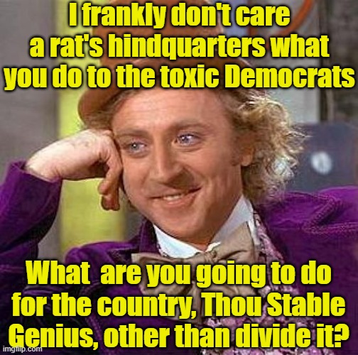 Creepy Condescending Wonka Meme | I frankly don't care a rat's hindquarters what you do to the toxic Democrats What  are you going to do for the country, Thou Stable Genius,  | image tagged in memes,creepy condescending wonka | made w/ Imgflip meme maker