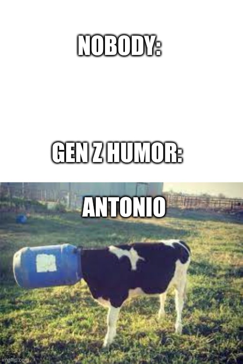 I followed the 3 steps | NOBODY:; GEN Z HUMOR:; ANTONIO | image tagged in blank white template,memes,funny memes,stupid memes,stop reading the tags | made w/ Imgflip meme maker
