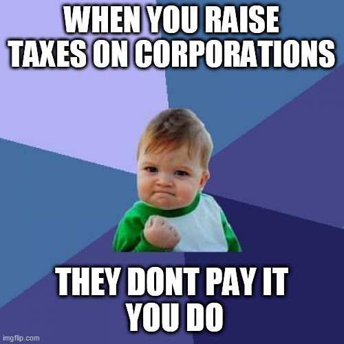 Success Kid Meme | WHEN YOU RAISE TAXES ON CORPORATIONS; THEY DONT PAY IT
  YOU DO | image tagged in memes,success kid | made w/ Imgflip meme maker