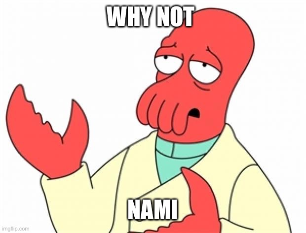 Why not Zoidberg | WHY NOT NAMI | image tagged in why not zoidberg | made w/ Imgflip meme maker