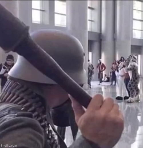 Ayo Hanz is that u? | image tagged in anti furry | made w/ Imgflip meme maker