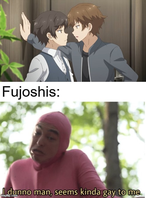 There is no heterosexual explanation for this | Fujoshis: | image tagged in i dunno man seems kinda gay to me,light novel,manga,anime,memes,Animemes | made w/ Imgflip meme maker