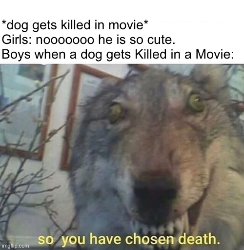 When A Dog Gets Killed In A Movie Imgflip