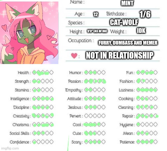 Idfk I was bored and stumbled across the temp on Google | MINT; 1/6; 12; CAT-WOLF; IDK; 5'3" (AS OF RN); FURRY, DUMBASS AND MEMER; NOT IN RELATIONSHIP | image tagged in oc info chart | made w/ Imgflip meme maker