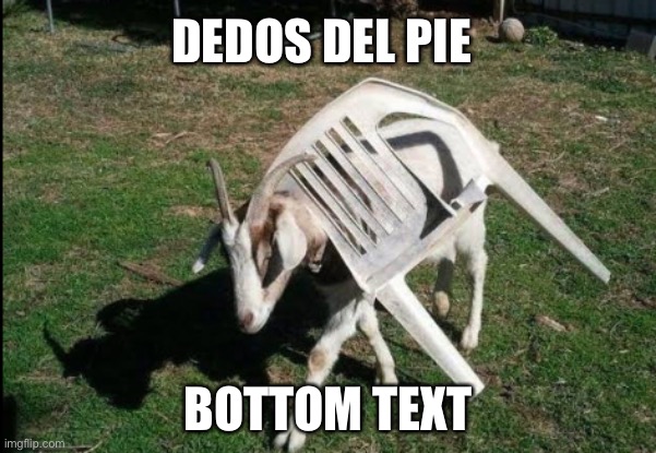 DEDOS DEL PIE BOTTOM TEXT | made w/ Imgflip meme maker