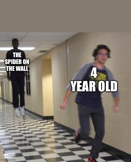 floating boy chasing running boy | THE SPIDER ON THE WALL; 4 YEAR OLD | image tagged in floating boy chasing running boy | made w/ Imgflip meme maker