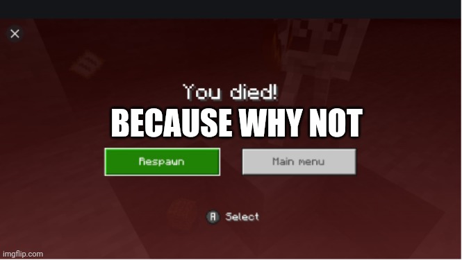 you died minecraft | BECAUSE WHY NOT | image tagged in you died minecraft | made w/ Imgflip meme maker