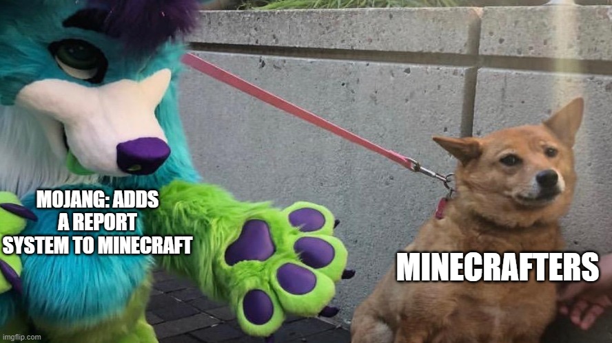 Reports as viewed by the community | MOJANG: ADDS A REPORT SYSTEM TO MINECRAFT; MINECRAFTERS | image tagged in furry scaring dog,minecraft,minecraft reporting,funny,memes,oh wow are you actually reading these tags | made w/ Imgflip meme maker