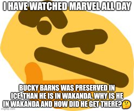 Thonk | I HAVE WATCHED MARVEL ALL DAY; BUCKY BARNS WAS PRESERVED IN ICE. THAN HE IS IN WAKANDA. WHY IS HE IN WAKANDA AND HOW DID HE GET THERE?🤔 | image tagged in thonk | made w/ Imgflip meme maker